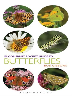 Pocket Guide to Butterflies - ebook